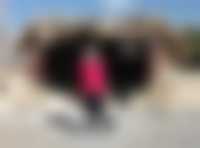صورة العضو