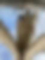Member's photo