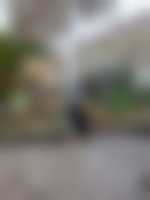 صورة العضو