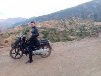 صورة العضو