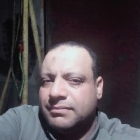 صورة العضو