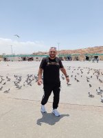 صورة العضو